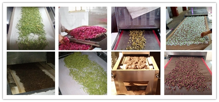 Industrial Tunnel Microwave Food Grain Nuts Spice Herbal Tea Leaves Powder Curing Sterilization Dryer Drying Machine