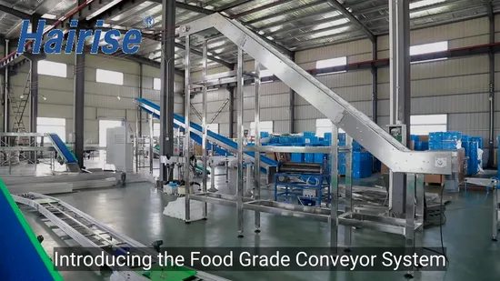 Food Grade Conveyor System for Beverage Industry Applications 