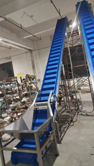 Credible Stainless Steel Hopper Belt Conveyor for Vegetable 