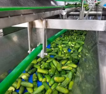Tinned Canned Food Production Line Automatic Pickled Cucumber Canning Production Line