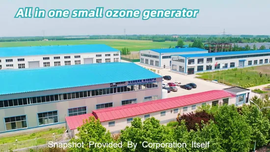 All in One 50g Ozone Machine for Water Treatment, Space Disinfection and Sterilization 