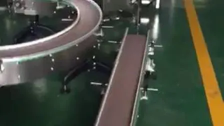 Hairise Customized FDA Powered Belt Plastic Conveyor with ISO 