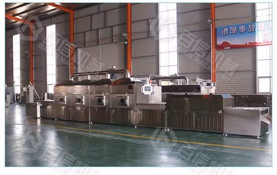 CE Chinese Supplier PLC Control Conveyor Tenebrio Molitor Customized Equipment Microwave Bsfl Dryer Drying Sterilization Machine