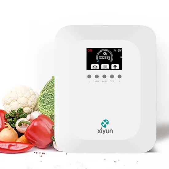 OEM Electrolytic Ozone Water Machine Fruit and Vegetable Cleaning Bath Laundry Sterilization 